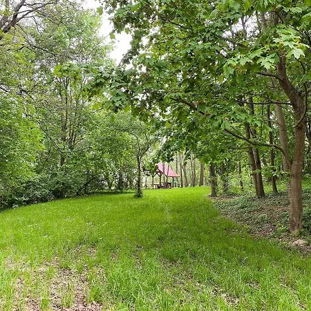 Buwelno Rest * Cierzpiety (Pisz)